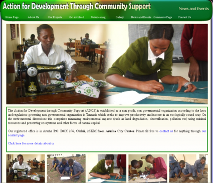 Nonprofit sample
